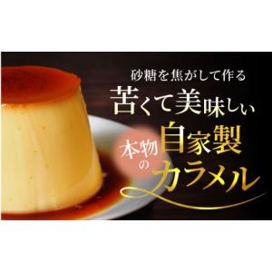 ふるさと納税 菓子 プリン 神奈川県 横須賀市...の詳細画像4