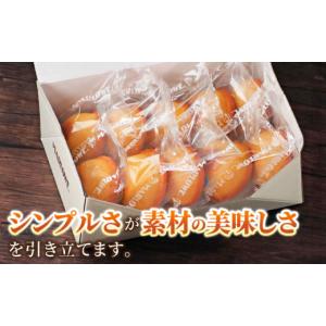 ふるさと納税 焼菓子・チョコレート マドレーヌ...の詳細画像3