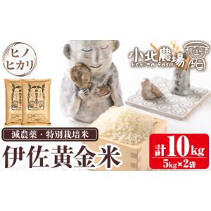 令和7年産 ひのひかり 伊佐米 5kg 単一原料米 九州 ヒノヒカリ 鹿児島