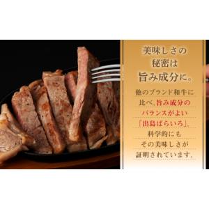 ふるさと納税 牛肉 ステーキ 長崎県 新上五島...の詳細画像5