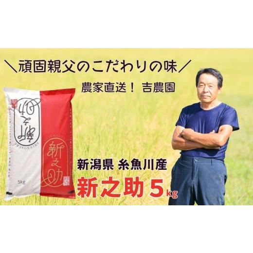ふるさと納税 米 新潟県 糸魚川市 令和7年産新米 新潟県産『新之助』5kg 新潟県糸魚川産 農家直...
