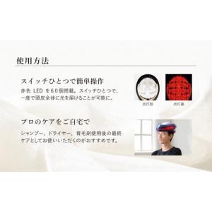 ふるさと納税 美容 岐阜県 - へアリプロ L...の詳細画像3