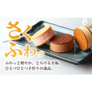 ふるさと納税 菓子 アイス 長崎県 長与町 1...の詳細画像2