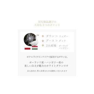 ふるさと納税 タオル・寝具 掛け布団 山梨県 ...の詳細画像5