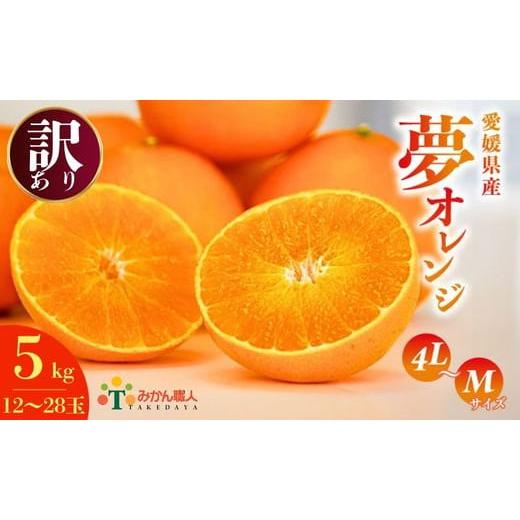 ふるさと納税 みかん・柑橘類 オレンジ 愛媛県 愛南町  訳あり みかん職人の夢オレンジ5kg 柑橘...
