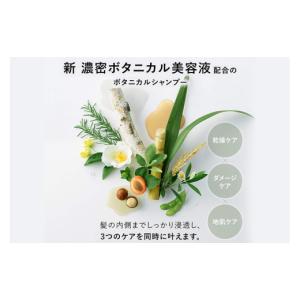 ふるさと納税 美容 群馬県 明和町 BOTAN...の詳細画像5