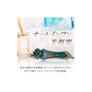 ふるさと納税 美容 岐阜県 羽島市 ZeusI...の詳細画像2