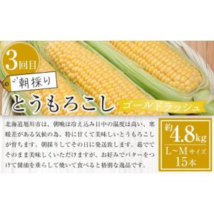 ふるさと納税 野菜類 アスパラガス 北海道 旭...の詳細画像4