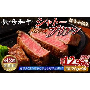 ふるさと納税 牛肉 ヒレ 長崎県 佐世保市 B...の詳細画像1