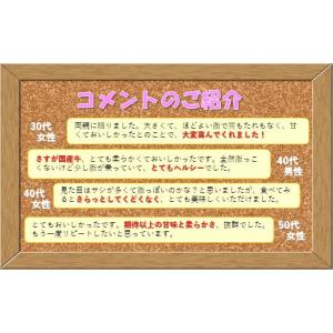 ふるさと納税 牛肉 ヒレ 長崎県 佐世保市 B...の詳細画像4