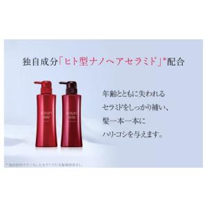 ふるさと納税 美容 神奈川県 南足柄市 定期便...の詳細画像2