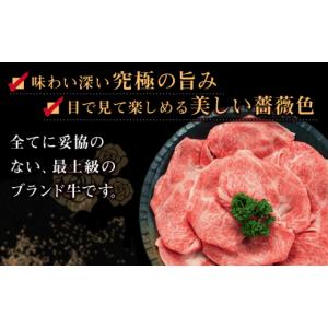 ふるさと納税 牛肉 サーロイン 長崎県 新上五...の詳細画像3