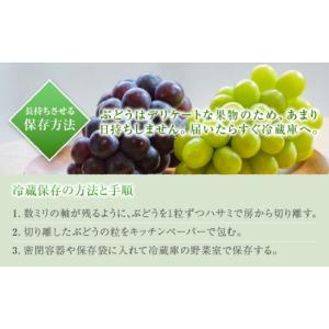 ふるさと納税 ぶどう 山梨県 甲州市 農家直送...の詳細画像3