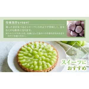 ふるさと納税 ぶどう 山梨県 甲州市 農家直送...の詳細画像4