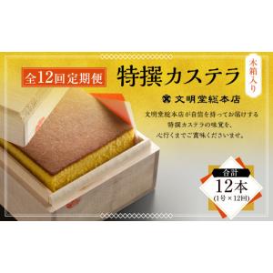 ふるさと納税 焼菓子・チョコレート 長崎県 長崎市 全12回定期便 特撰カステラ1号 かすてら カステラ 洋菓子 お菓子 菓子 定期便 文明堂総本店