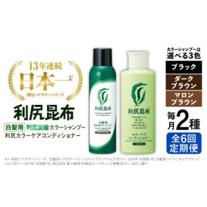 ふるさと納税 美容 福岡県 糸島市 ダークブラウン 全6回定期便 色が選べる 2本セット ［白髪用］利尻炭酸カラーシャンプー＋利尻カラーケアコンディショナー …