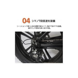 ふるさと納税 電化製品 兵庫県 西脇市 電動ア...の詳細画像5