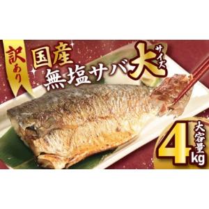ふるさと納税 魚貝類 千葉県 銚子市 訳あり 国産 無塩さば フィーレ 4kg 大サイズ 1枚170g さば 鯖 魚 海鮮 魚介類 シーフード フィレ 切身 切り身 無塩 不揃…