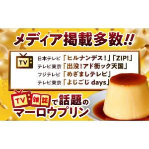 ふるさと納税 菓子 プリン 神奈川県 葉山町 ...の詳細画像2