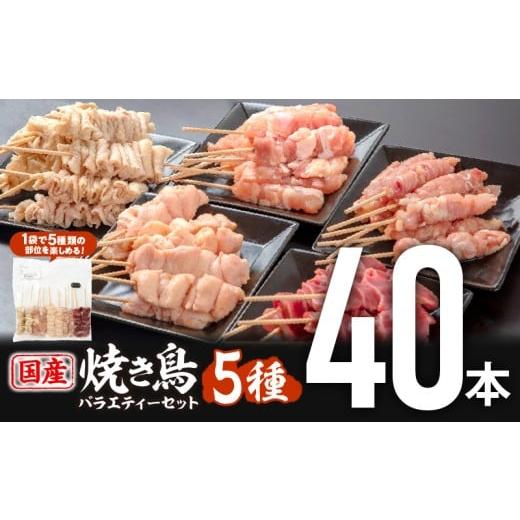 ふるさと納税 鶏肉 焼き鳥 宮崎県 宮崎市 若鶏の焼き鳥セット5種(40本)バラエティーセット_M1...