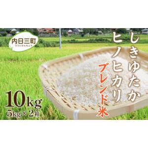 ふるさと納税 無洗米 山口県 下関市 令和7年産 Wブレンド米 10kg （5kg×2袋） 山口県産 ブレンド米 銘柄米 数量限定 10kg