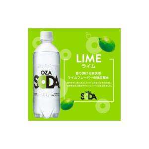 ふるさと納税 炭酸飲料 ソーダ水 山形県 山形...の詳細画像3