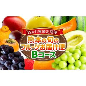 ふるさと納税 メロン メロン赤肉 熊本県 - ...の詳細画像1