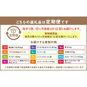 ふるさと納税 メロン メロン赤肉 熊本県 - ...の詳細画像5