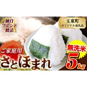 ふるさと納税 米 熊本県 玉東町 熊本県産 さ...の詳細画像1