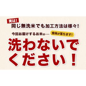 ふるさと納税 米 熊本県 玉東町 熊本県産 さ...の詳細画像4