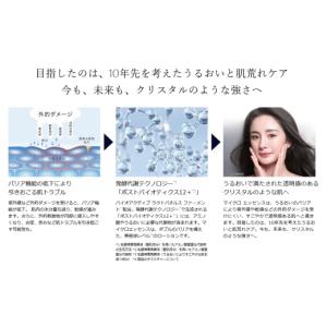 ふるさと納税 美容 化粧水 茨城県 下妻市 エ...の詳細画像5
