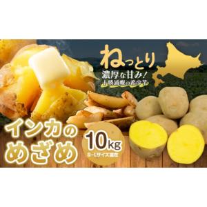 ふるさと納税 野菜類 じゃがいも 北海道 浦幌町 インカのめざめ 10kg じゃがいも 飯山農場《9月中旬-3月上旬頃出荷予定》芋 ジャガイモ 野菜 送料無料 北海道 …