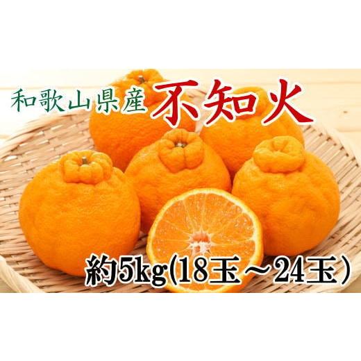 ふるさと納税 みかん・柑橘類 デコポン 和歌山県 かつらぎ町 和歌山県産不知火 約5kg(18玉〜2...