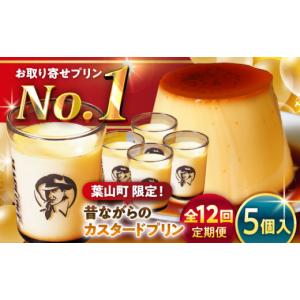 ふるさと納税 菓子 プリン 神奈川県 葉山町 全12回定期便 昔ながらの カスタードプリン 5個セット 計約900g (約180g × 5個) ／ プリン ぷりん スイーツ 洋菓…