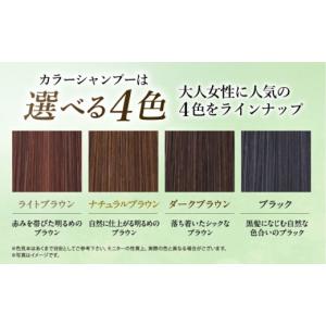 ふるさと納税 美容 福岡県 糸島市 ブラック ...の詳細画像4