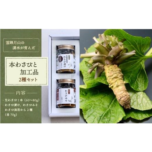 ふるさと納税 野菜類 薬味 山形県 大蔵村 霊峰月山の湧水が育んだ　本わさびと加工品2種セット