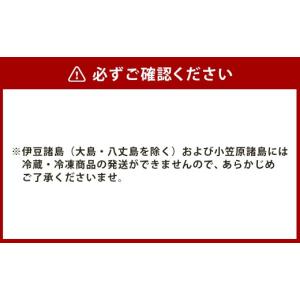 ふるさと納税 麺類 長崎県 長崎市 全12回定...の詳細画像4