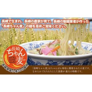 ふるさと納税 麺類 長崎県 長崎市 全12回定...の詳細画像5