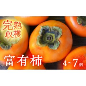 ふるさと納税 果物類 柿 岐阜県 本巣市 先行予約 令和8年産 《 訳あり 》完熟収穫 富有柿 4~7個 入り サイズ不揃い 規格外 おまかせ 家庭用 自宅用 柿 かき …