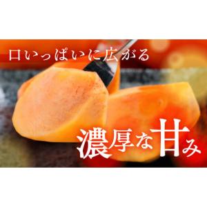 ふるさと納税 果物類 柿 岐阜県 本巣市 先行...の詳細画像2