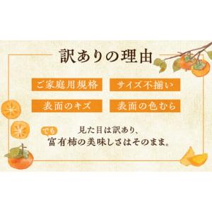 ふるさと納税 果物類 柿 岐阜県 本巣市 先行...の詳細画像4