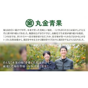 ふるさと納税 果物類 柿 岐阜県 本巣市 先行...の詳細画像5