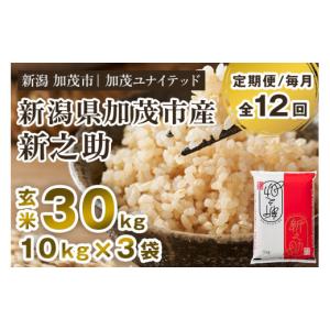 ふるさと納税 玄米 新潟県 加茂市 令和8年産新米先行予約 定期便12ヶ月毎月お届け 新潟県産 新之助 玄米 30kg（10kg×3袋）《10月上旬から順次出荷》 新潟県…