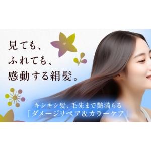 ふるさと納税 美容 愛知県 愛西市 いち髪 ダ...の詳細画像2