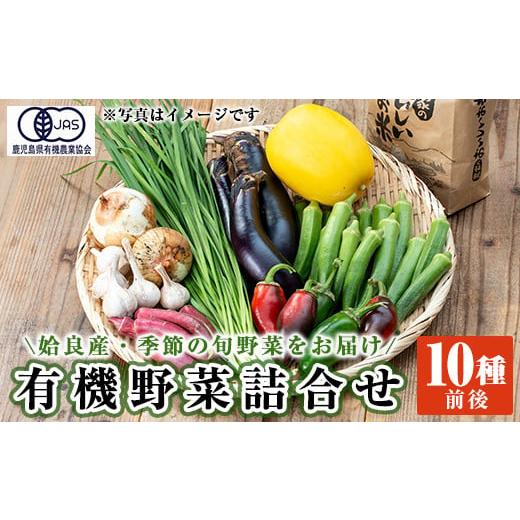 ふるさと納税 セット・詰合せ 鹿児島県 姶良市 a967 姶良産 有機野菜の詰合せセット(10種前後...