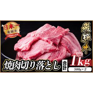 ふるさと納税 牛肉 焼肉・バーベキュー 岐阜県 羽島市 飛騨牛 焼肉切り落とし 約1kg(約500g×2)タレ付き 訳あり 冷蔵便 A4〜A5等級 黒毛和牛_飛騨牛 黒毛和牛 …｜ふるさとチョイス