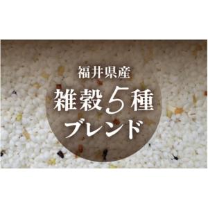ふるさと納税 米 コシヒカリ 福井県 あわら市...の詳細画像2