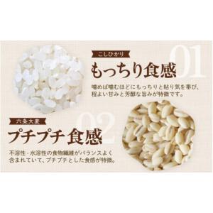 ふるさと納税 米 コシヒカリ 福井県 あわら市...の詳細画像3