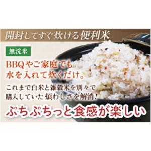 ふるさと納税 米 コシヒカリ 福井県 あわら市...の詳細画像5
