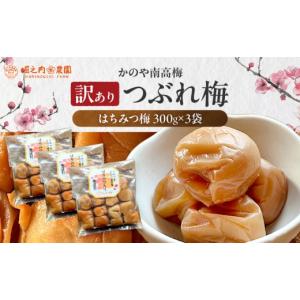ふるさと納税 加工品等 梅干 鹿児島県 鹿屋市 ...の商品画像